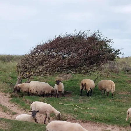 6 Person In Lokken-by Traum * Løkken