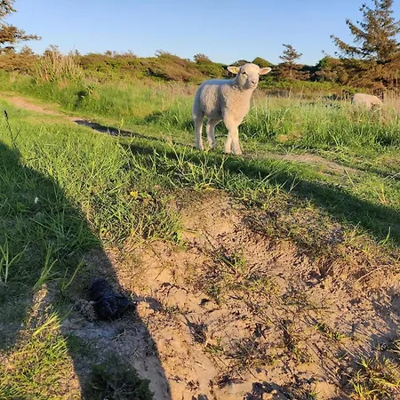 別荘 6 Person In Lokken-by Traum Løkken